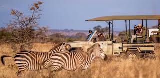 Day Selous Safari & Rufiji River Experience